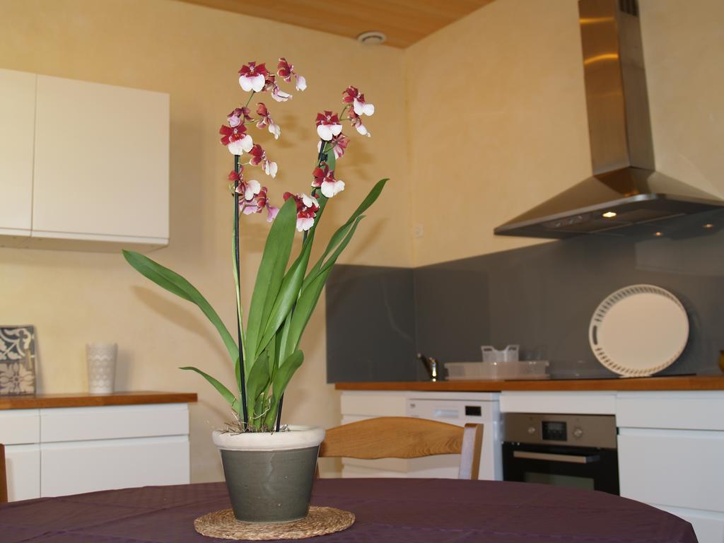 La Vayssade - Maison D'Hotes - Jacuzzi, Piscine & Truffes Lalbenque Ngoại thất bức ảnh